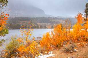 Rock Creek Lake Fall color-8714